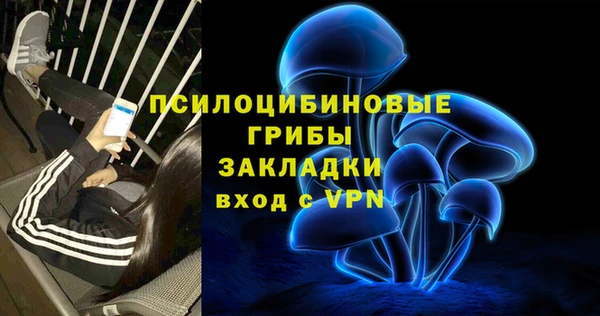 бутират Богданович